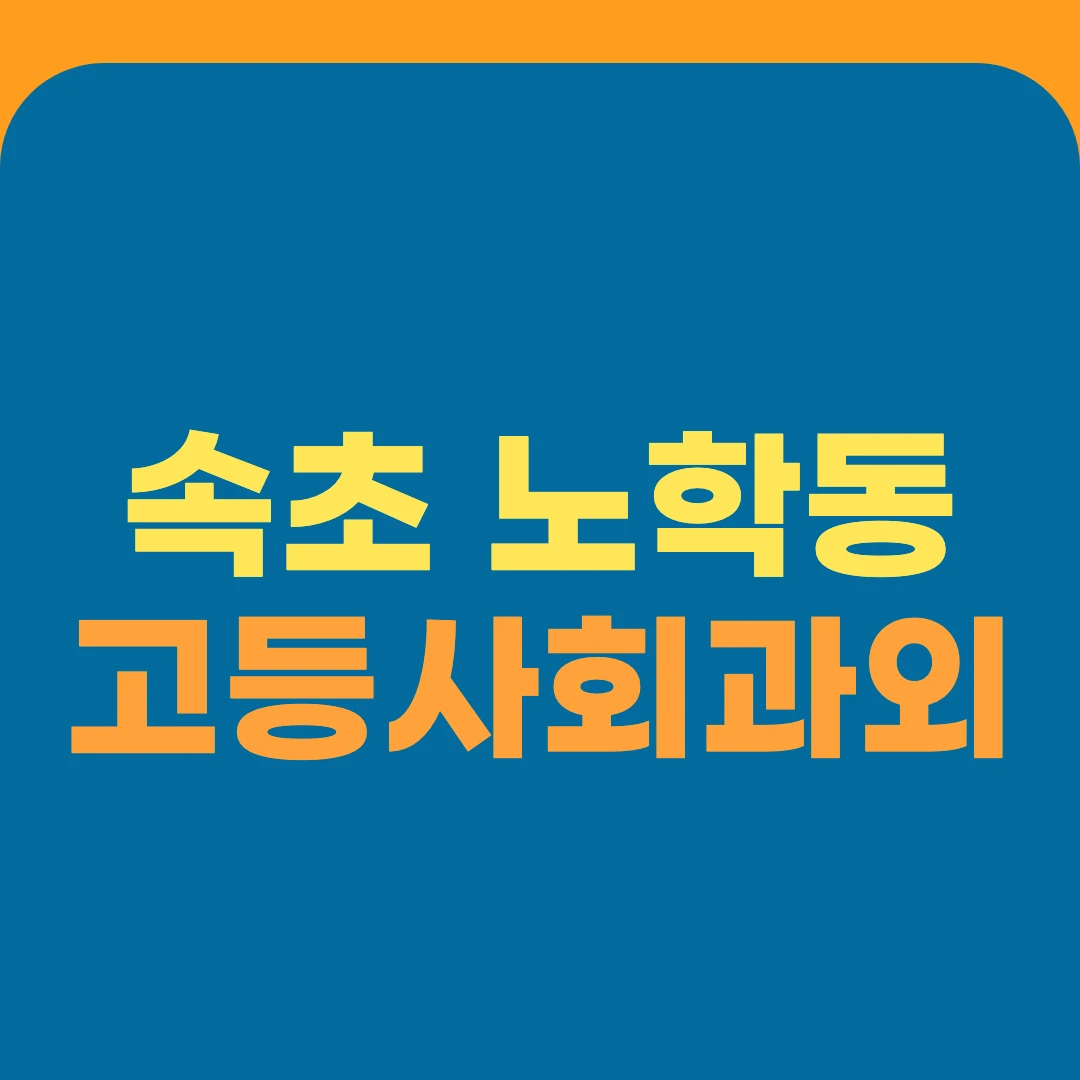 속초 노학동 고등사회과외