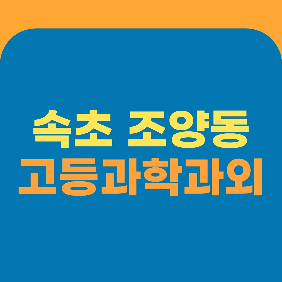 속초 조양동 고등과학과외