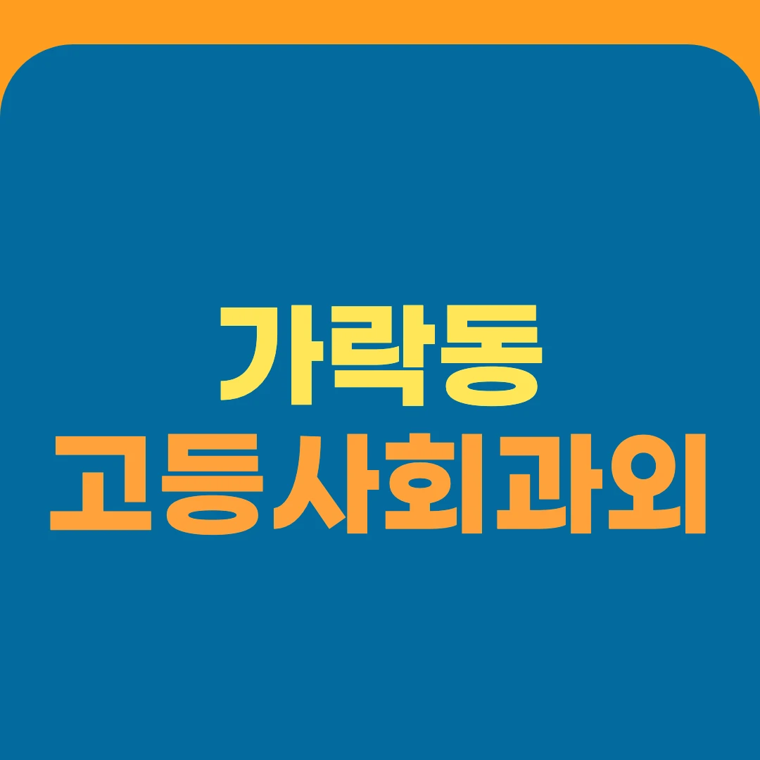 가락동 고등사회과외