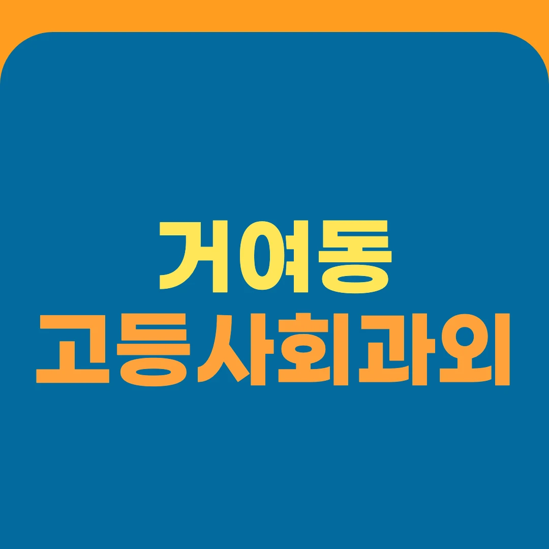 거여동 고등사회과외