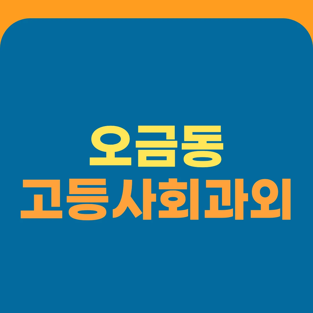 오금동 고등사회과외