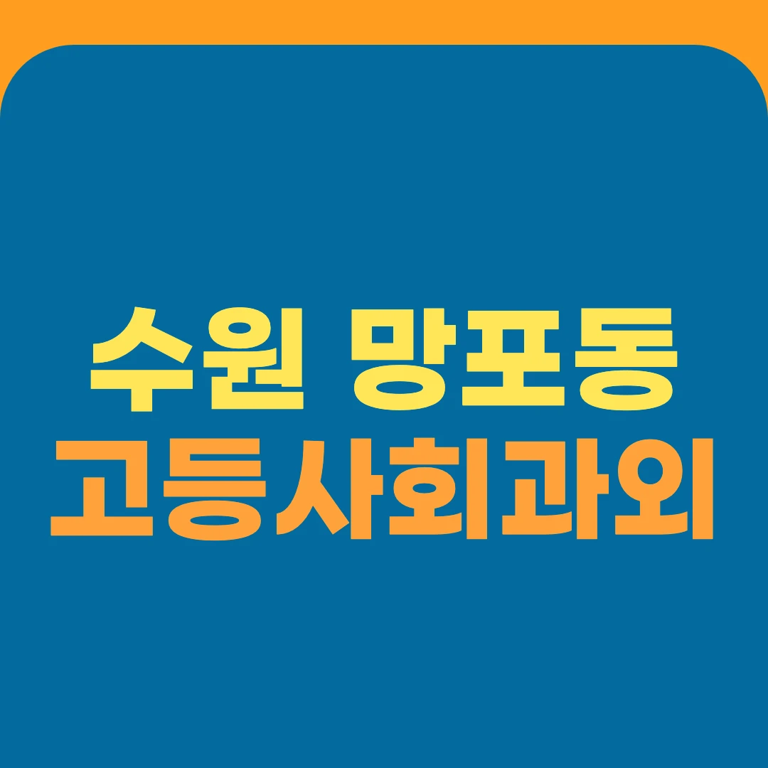 수원 망포동 고등사회과외