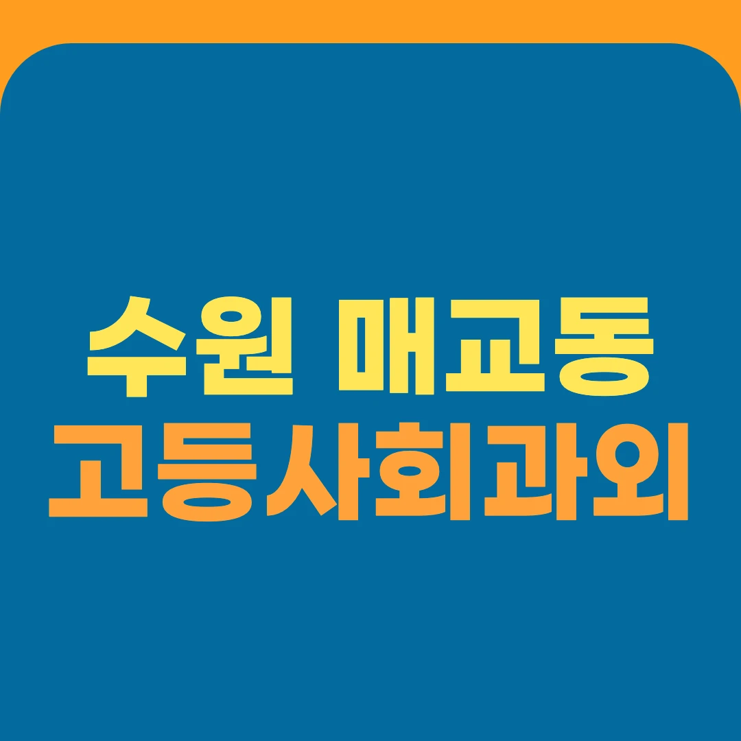수원 매교동 고등사회과외