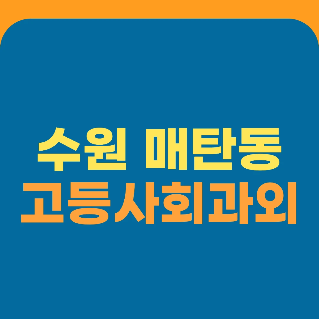 수원 매탄동 고등사회과외