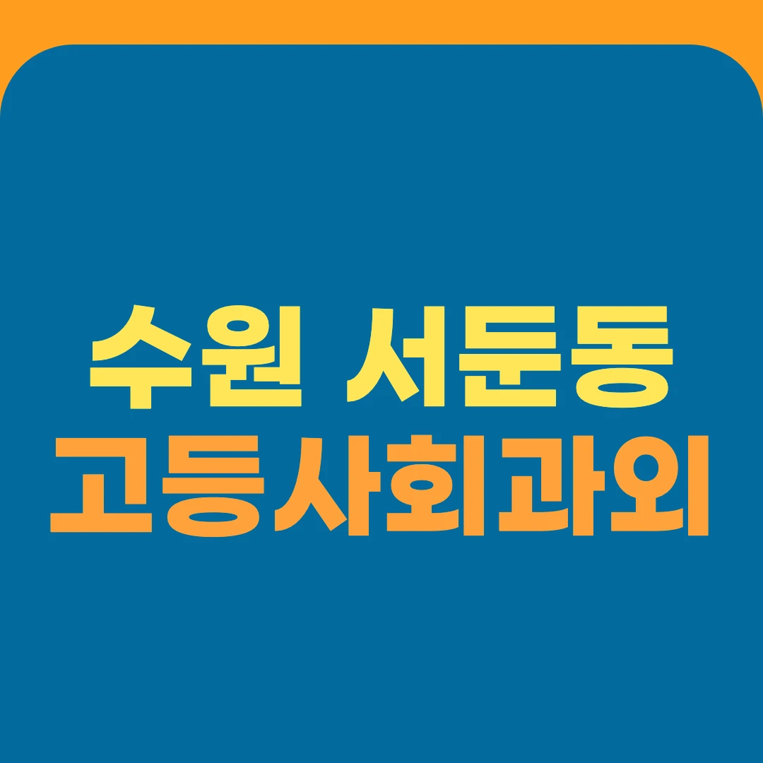 수원 서둔동 고등사회과외