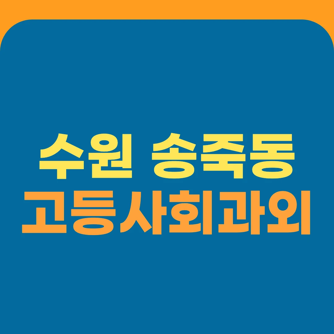 수원 송죽동 고등사회과외