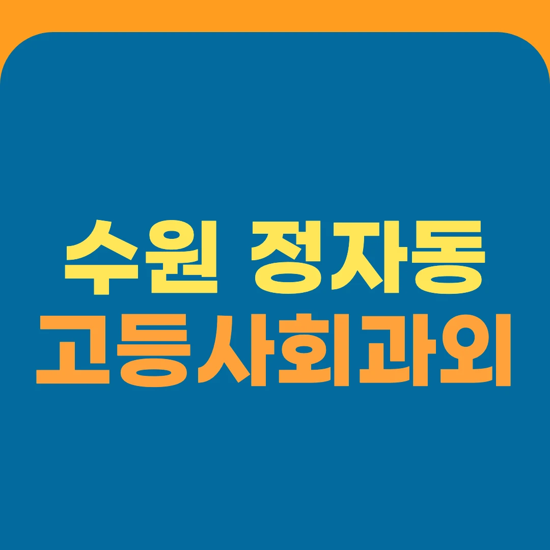 수원 정자동 고등사회과외
