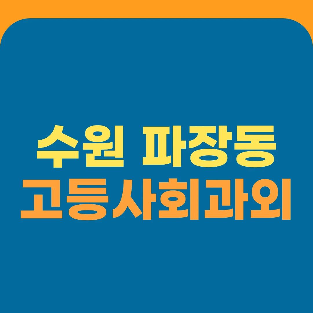 수원 파장동 고등사회과외