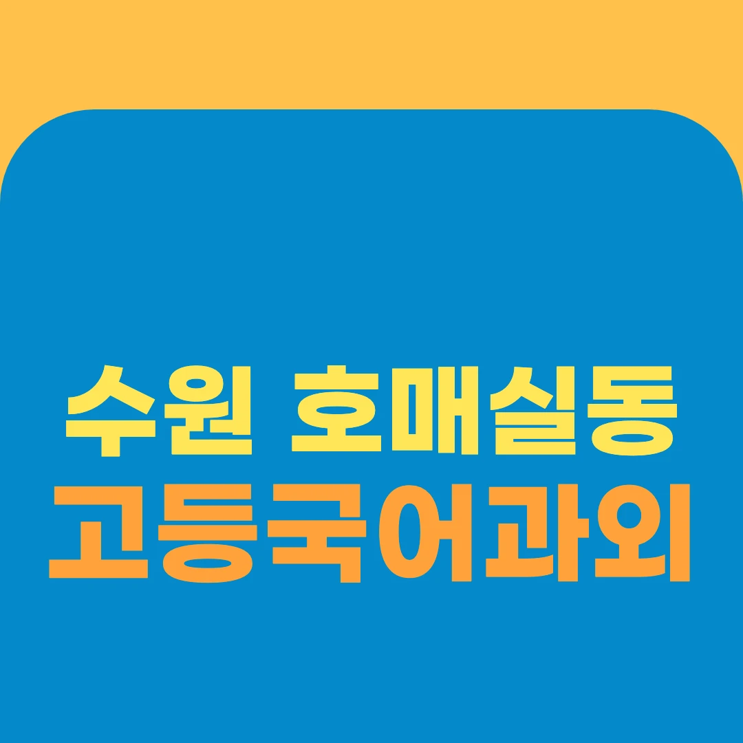수원 호매실동 고등국어과외