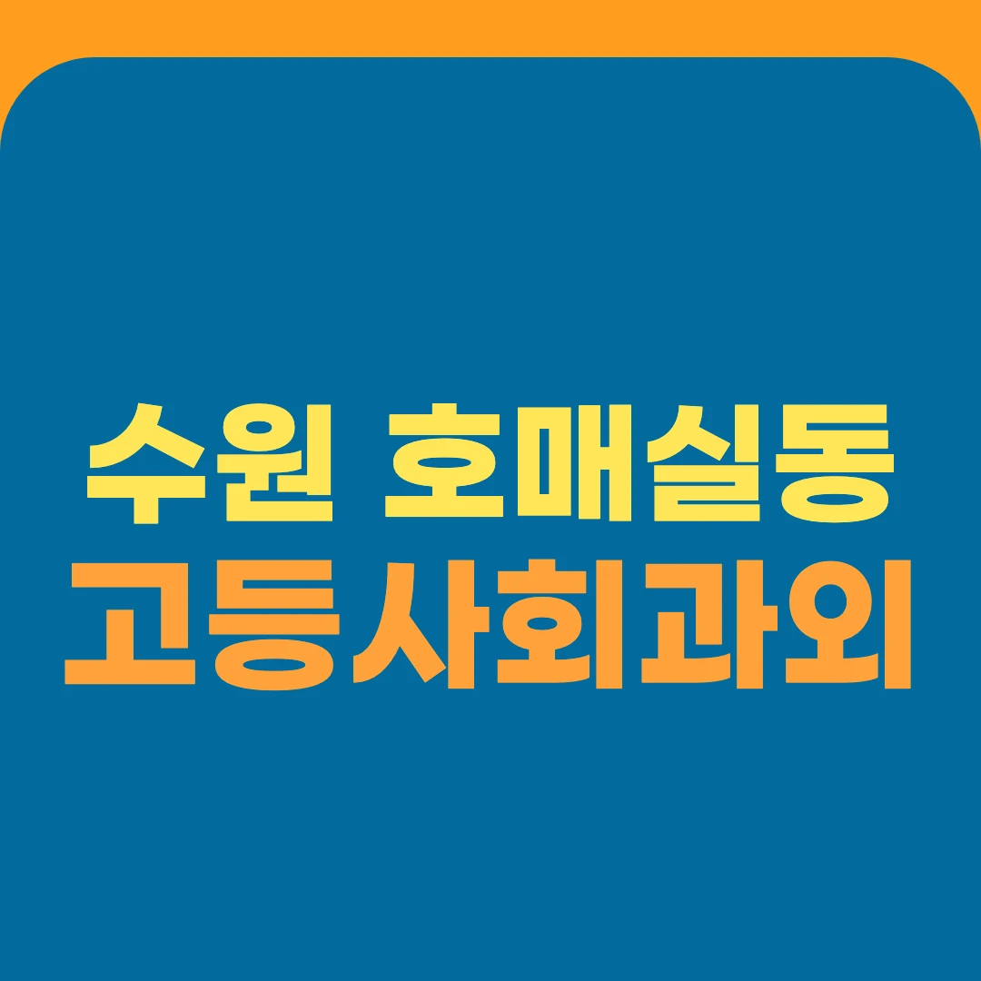 수원 호매실동 고등사회과외