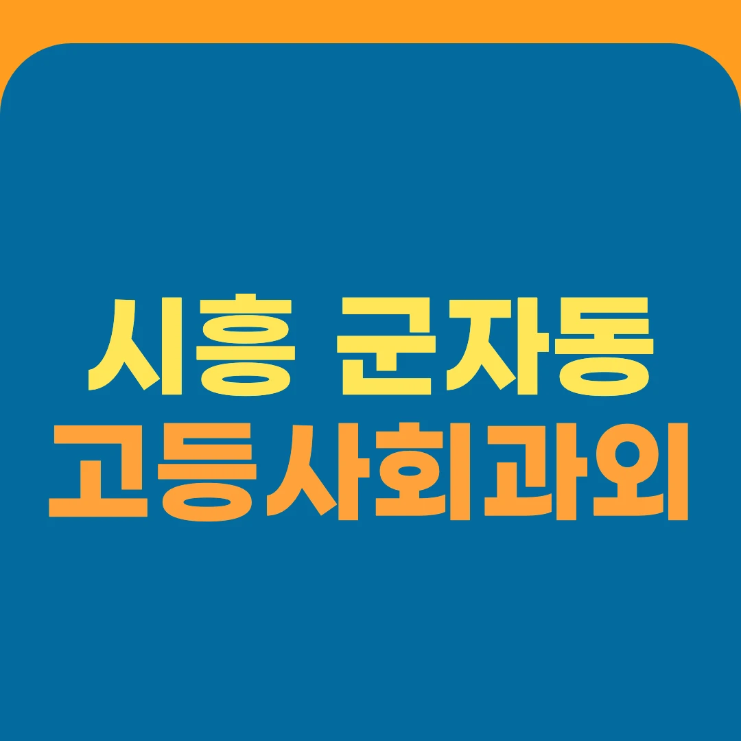 시흥 군자동 고등사회과외