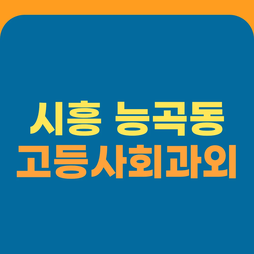 시흥 능곡동 고등사회과외