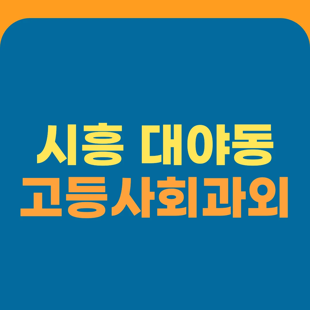 시흥 대야동 고등사회과외