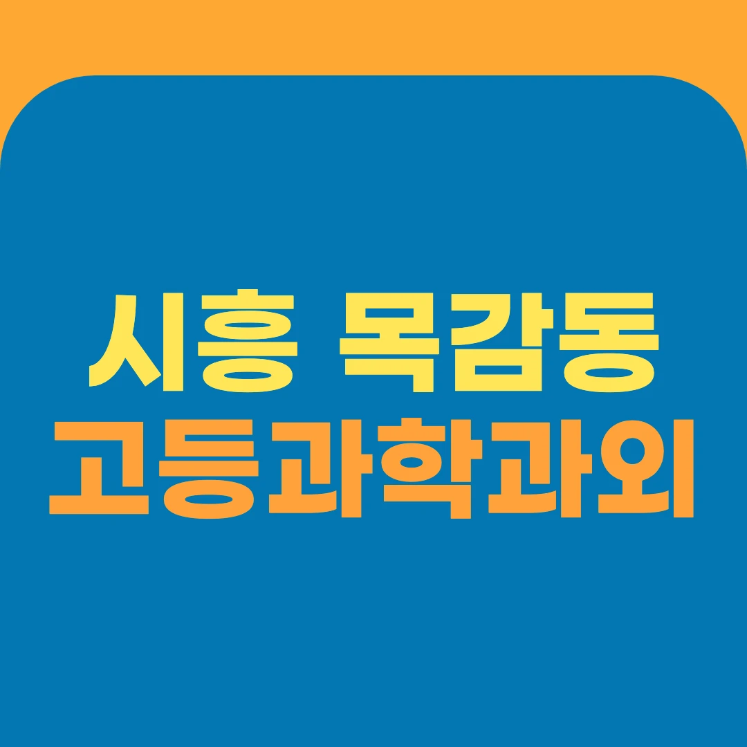 시흥 목감동 고등과학과외