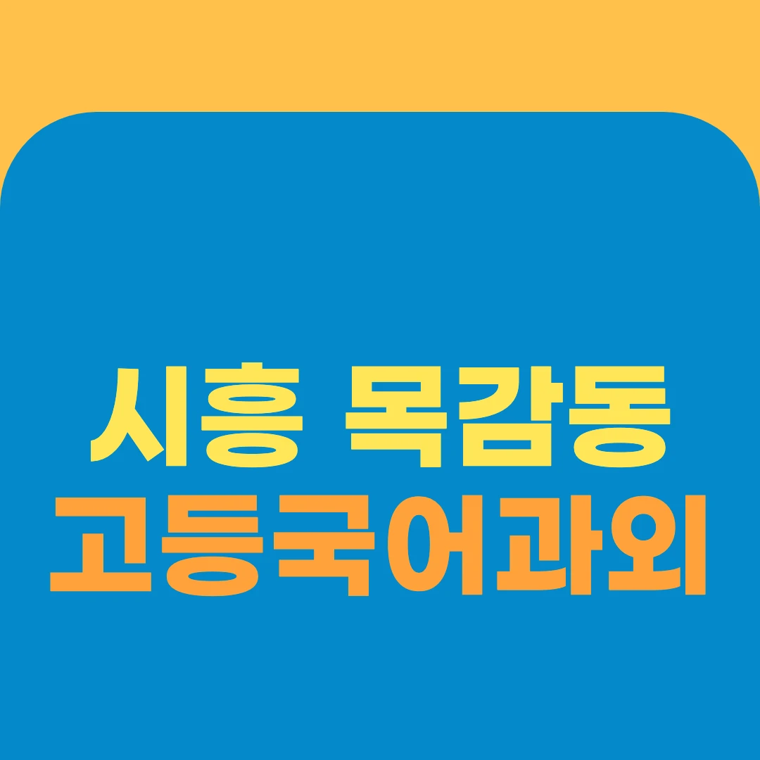 시흥 목감동 고등국어과외