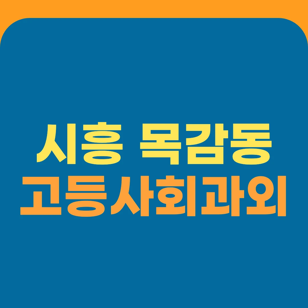 시흥 목감동 고등사회과외