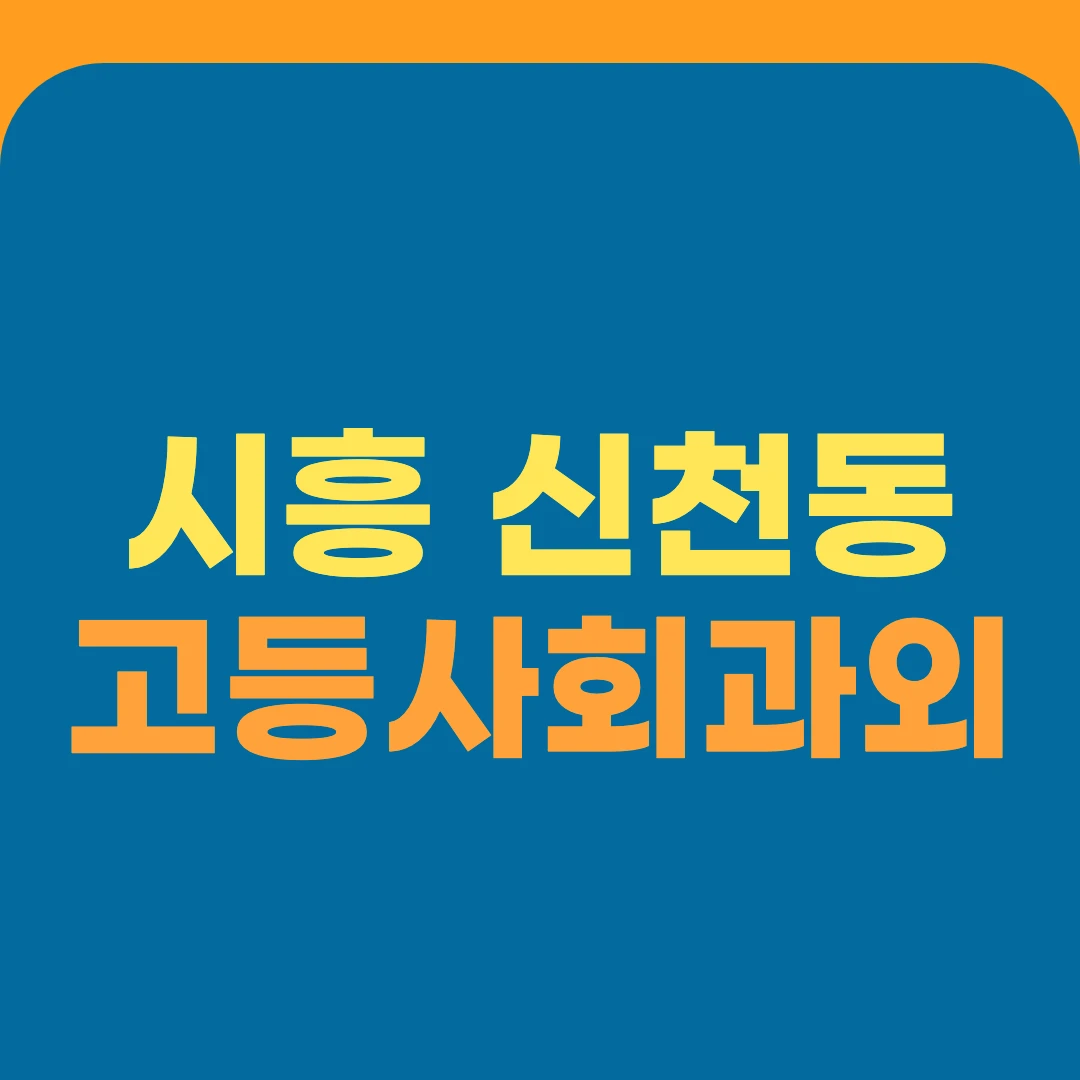 시흥 신천동 고등사회과외