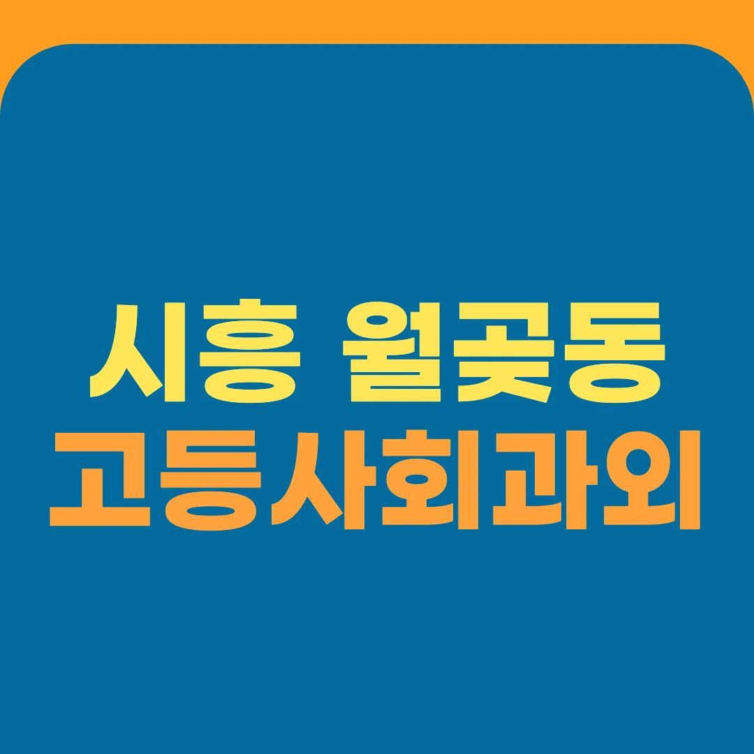 시흥 월곶동 고등사회과외
