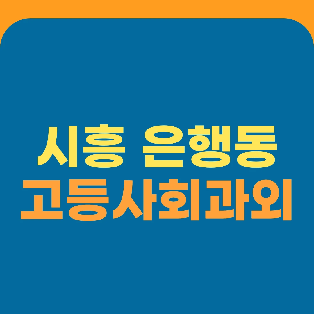 시흥 은행동 고등사회과외