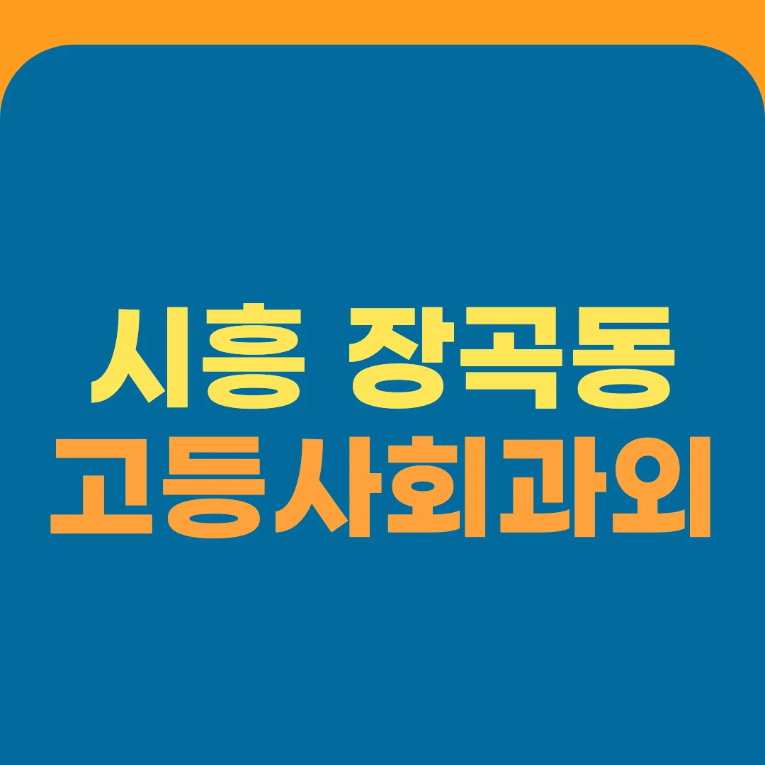 시흥 장곡동 고등사회과외