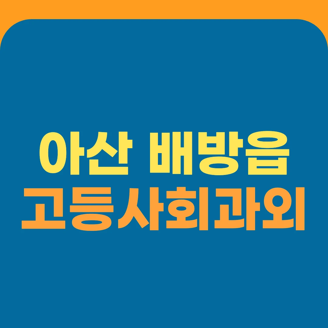 아산 배방읍 고등사회과외