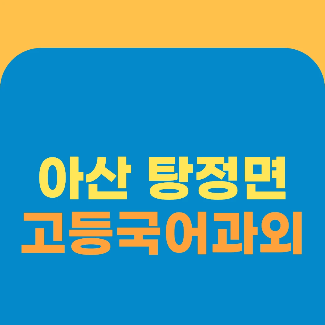 아산 탕정면 고등국어과외