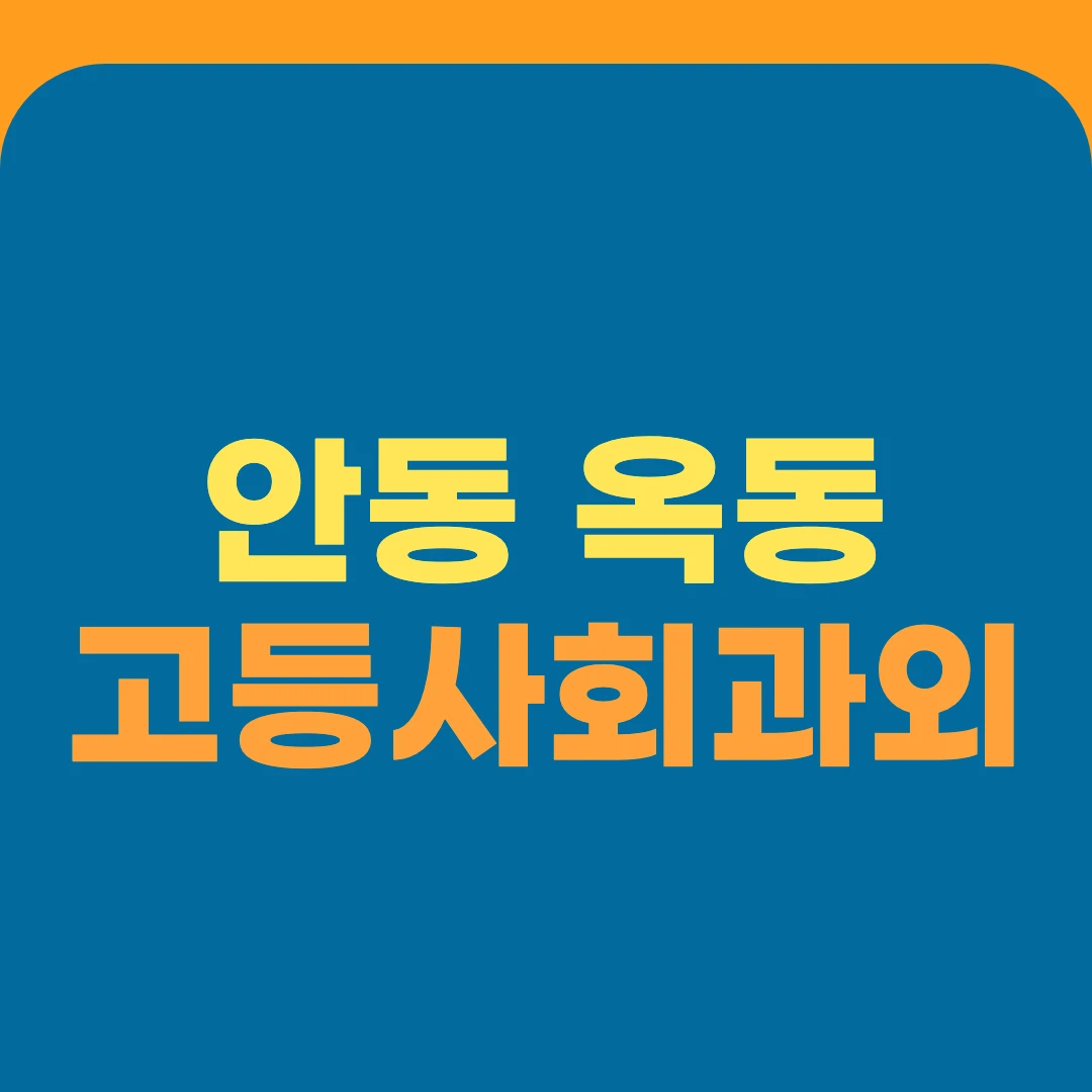 안동 옥동 고등사회과외