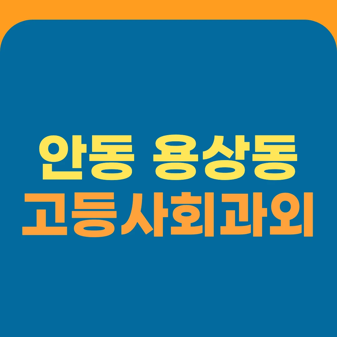 안동 용상동 고등사회과외