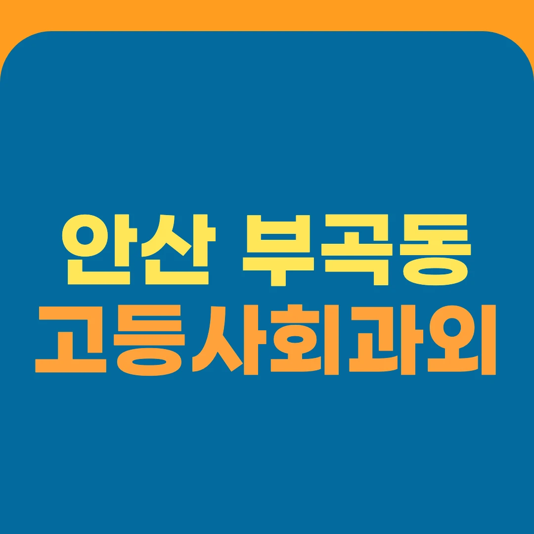 안산 부곡동 고등사회과외
