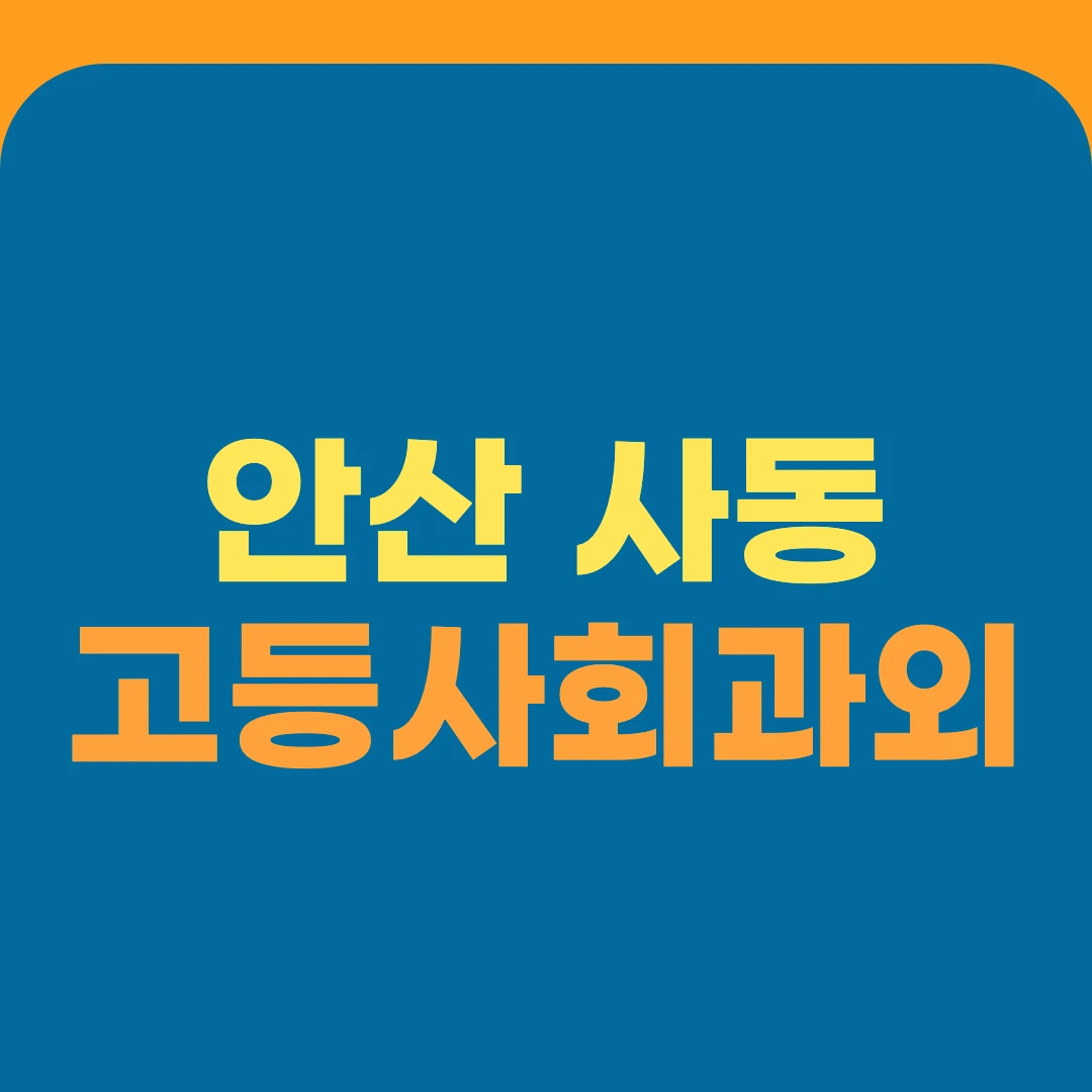 안산 사동 고등사회과외