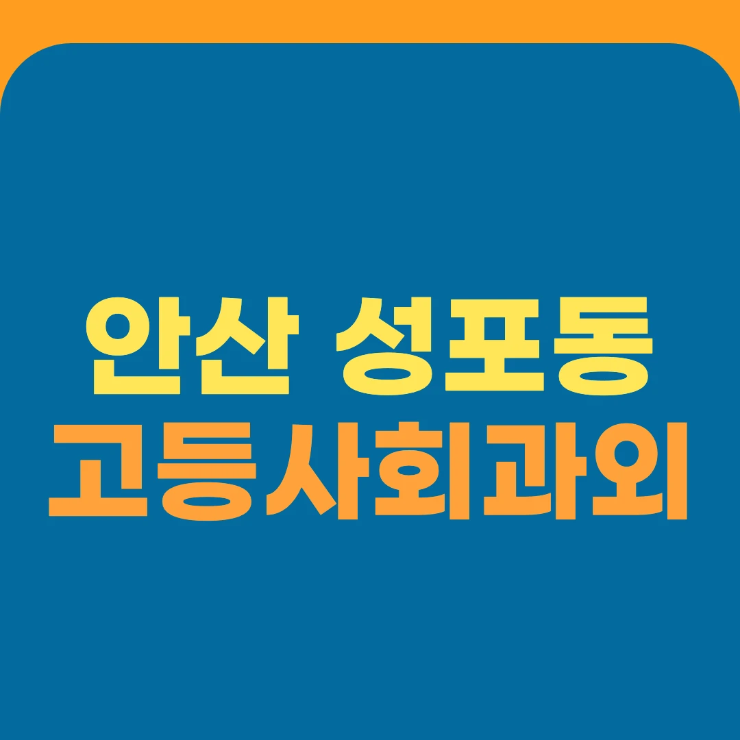 안산 성포동 고등사회과외
