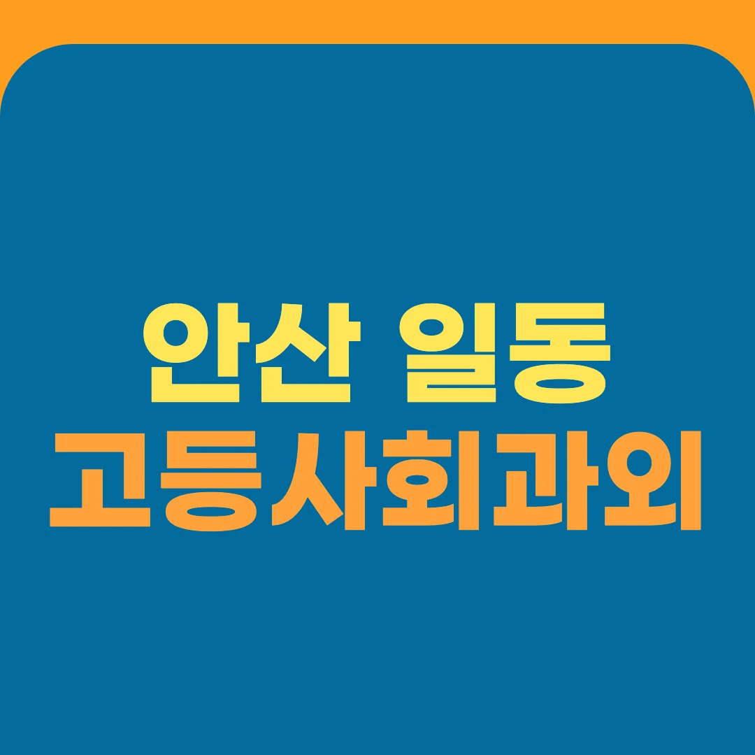 안산 일동 고등사회과외