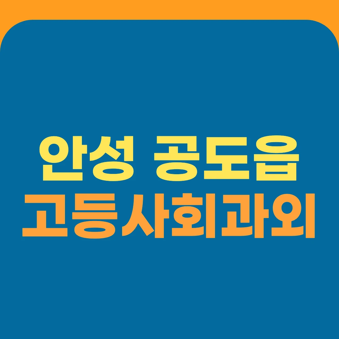 안성 공도읍 고등사회과외