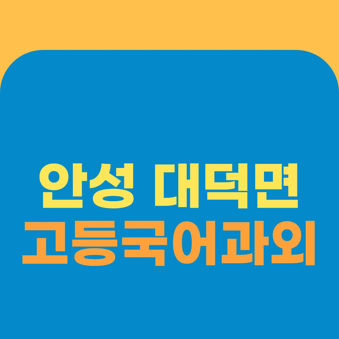 안성 대덕면 고등국어과외
