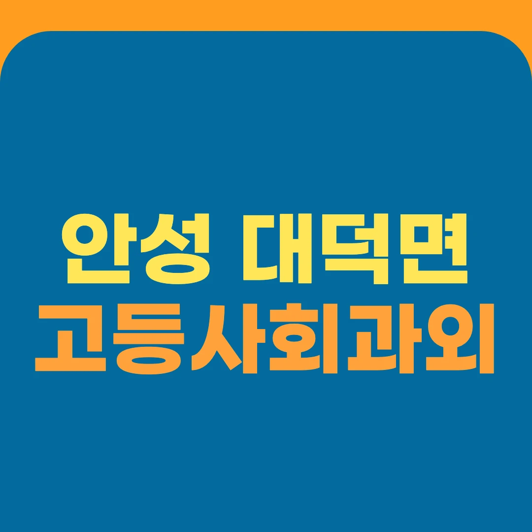 안성 대덕면 고등사회과외