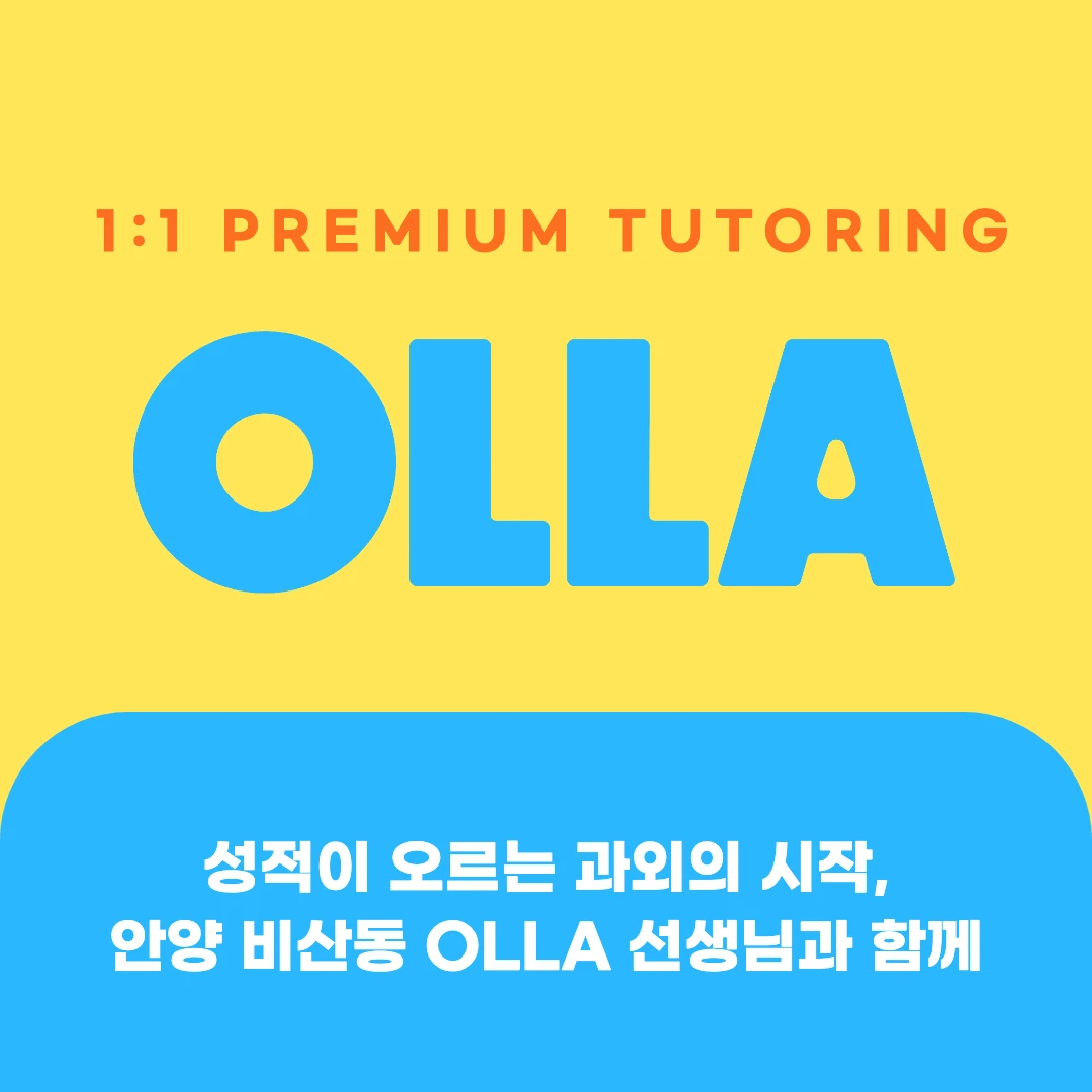 안양 비산동 고등과외