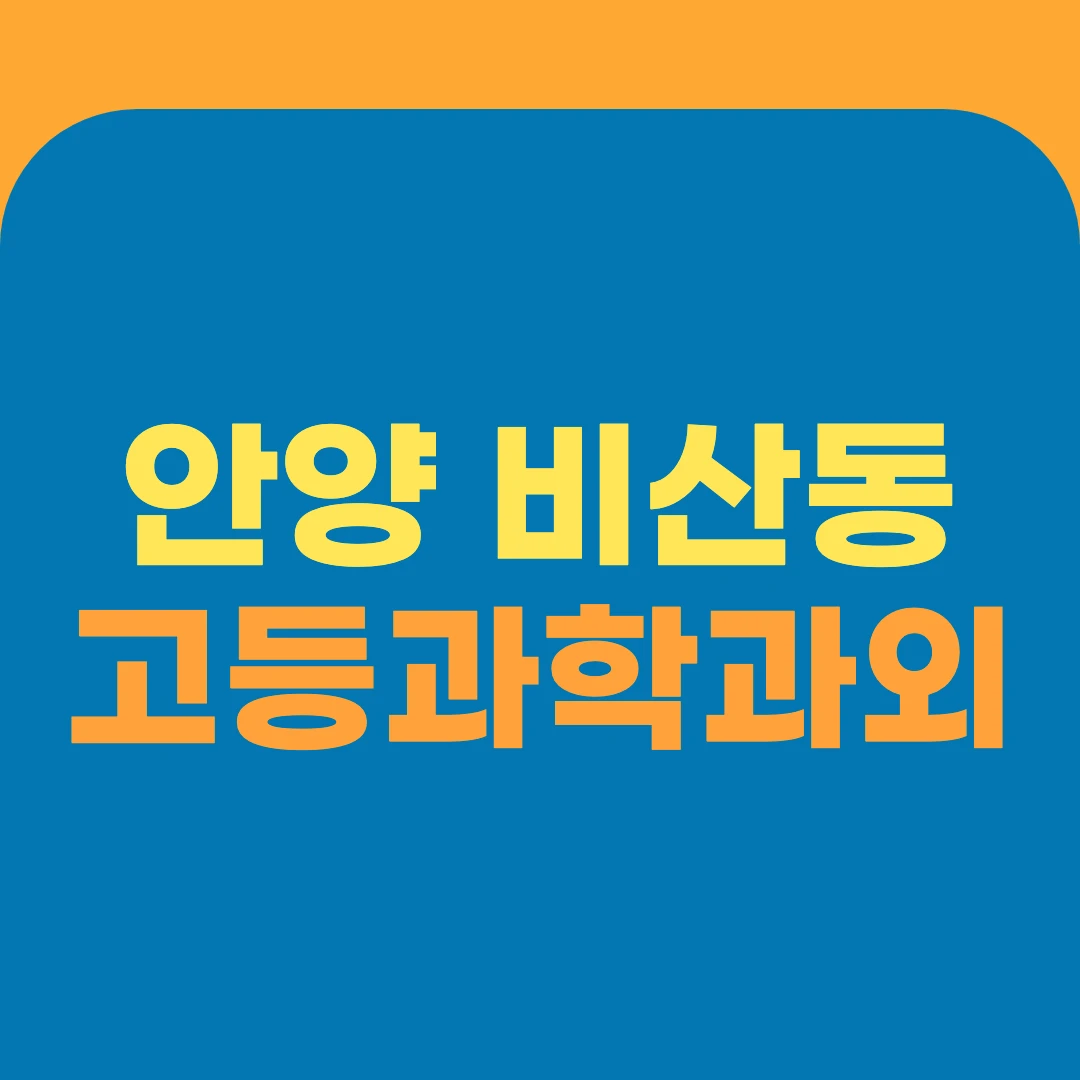 안양 비산동 고등과학과외
