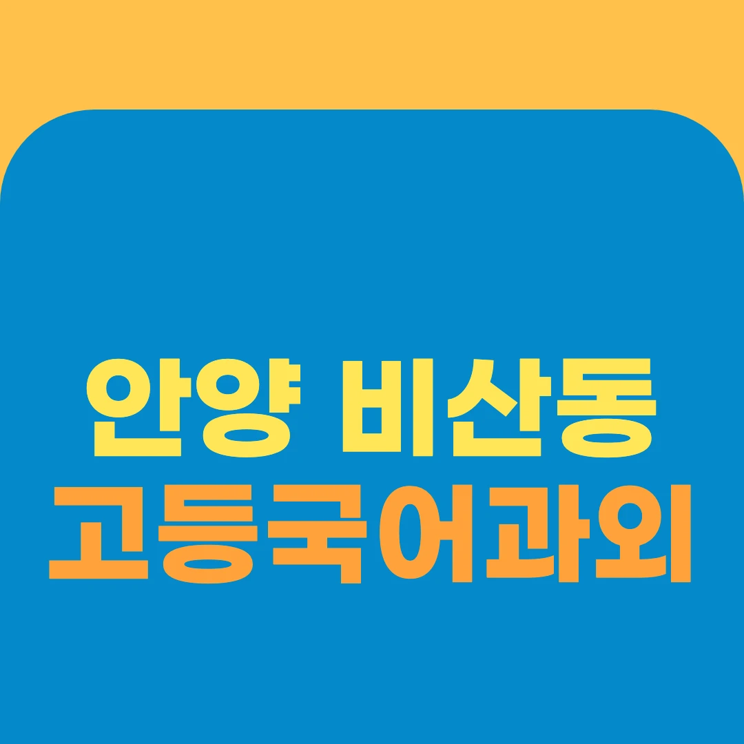 안양 비산동 고등국어과외