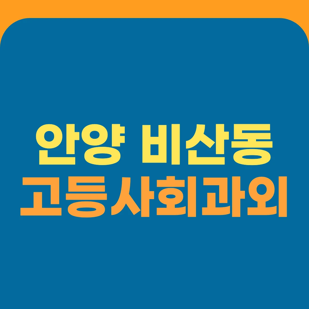 안양 비산동 고등사회과외