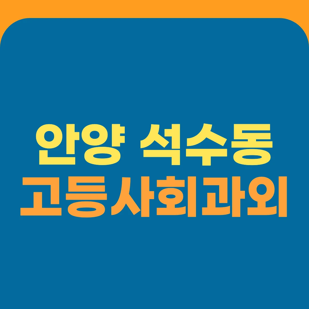 안양 석수동 고등사회과외