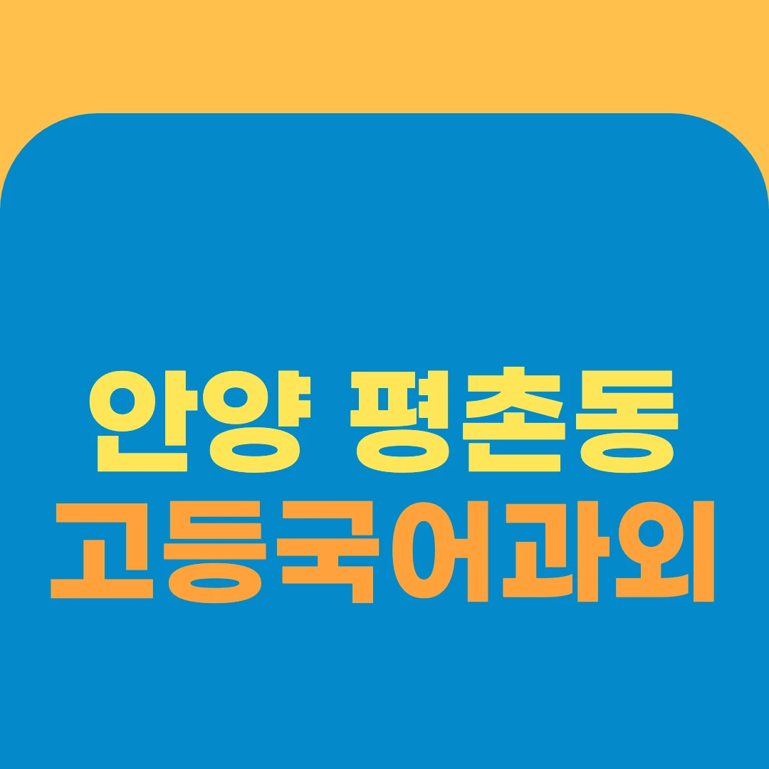 안양 평촌동 고등국어과외