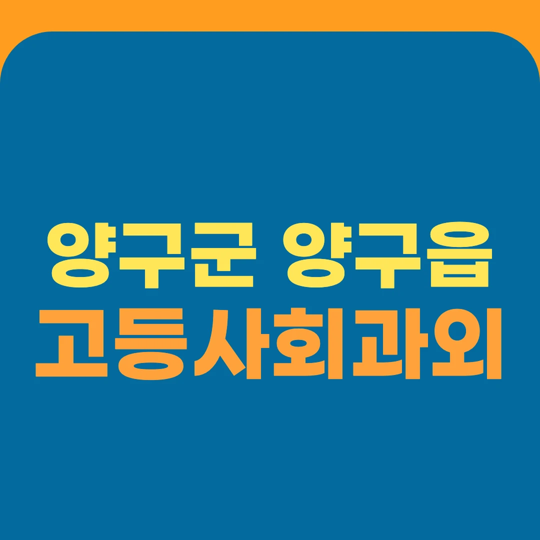 양구군 양구읍 고등사회과외