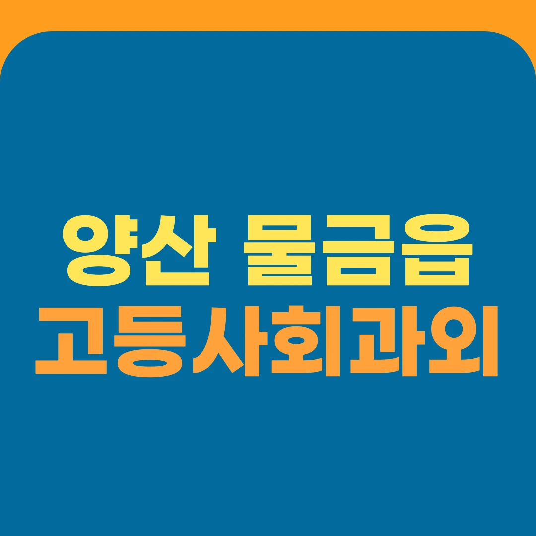 양산 물금읍 고등사회과외
