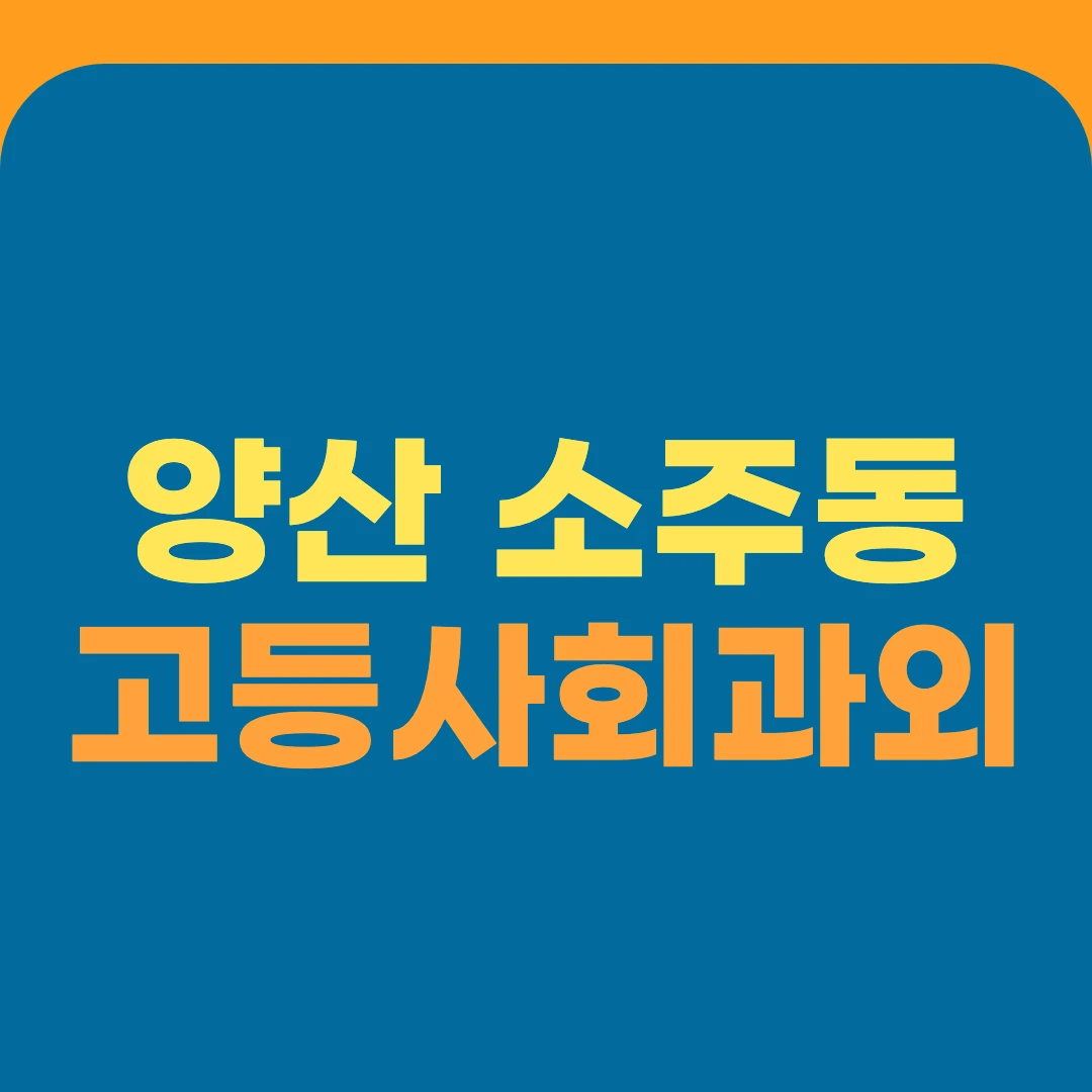 양산 소주동 고등사회과외