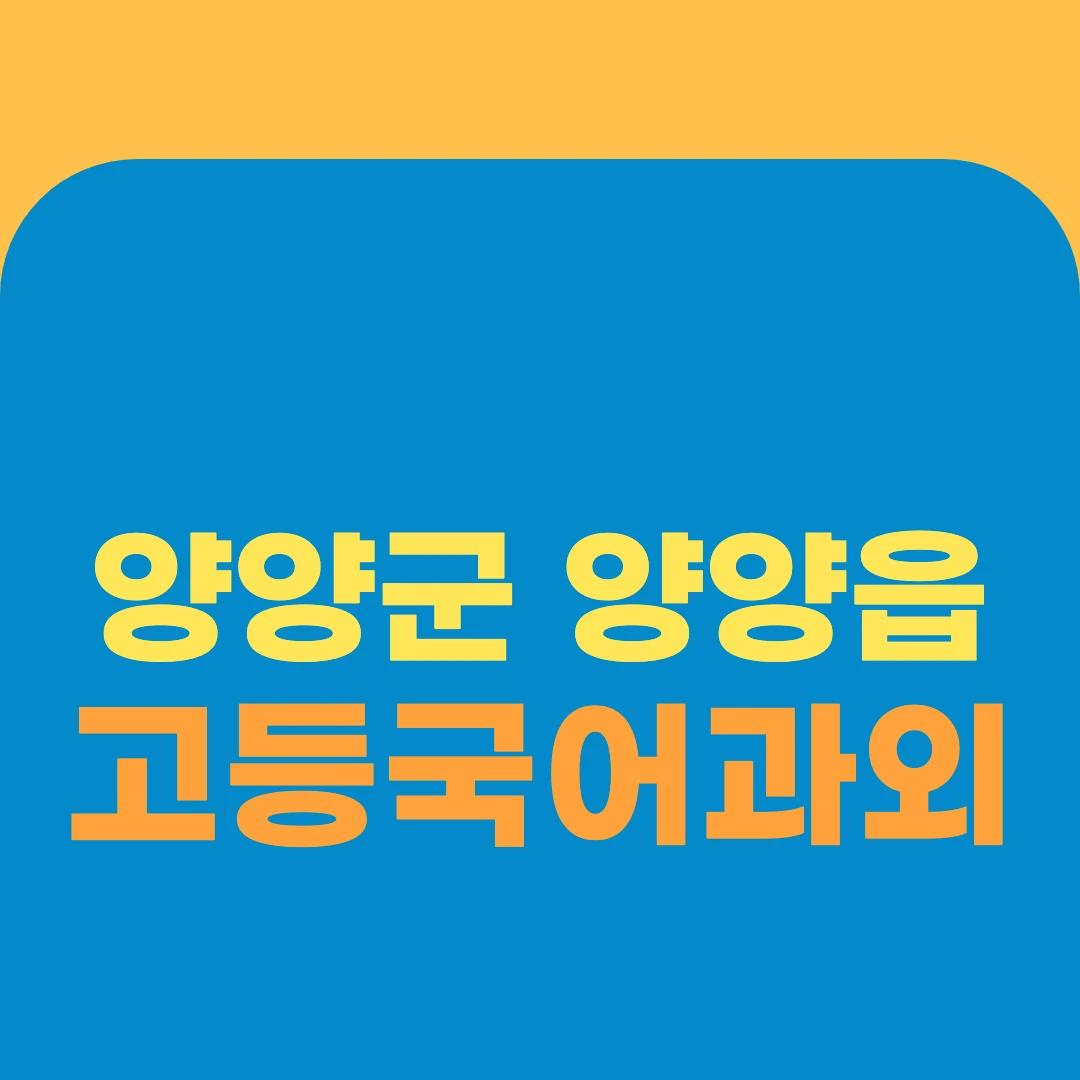 양양군 양양읍 고등국어과외