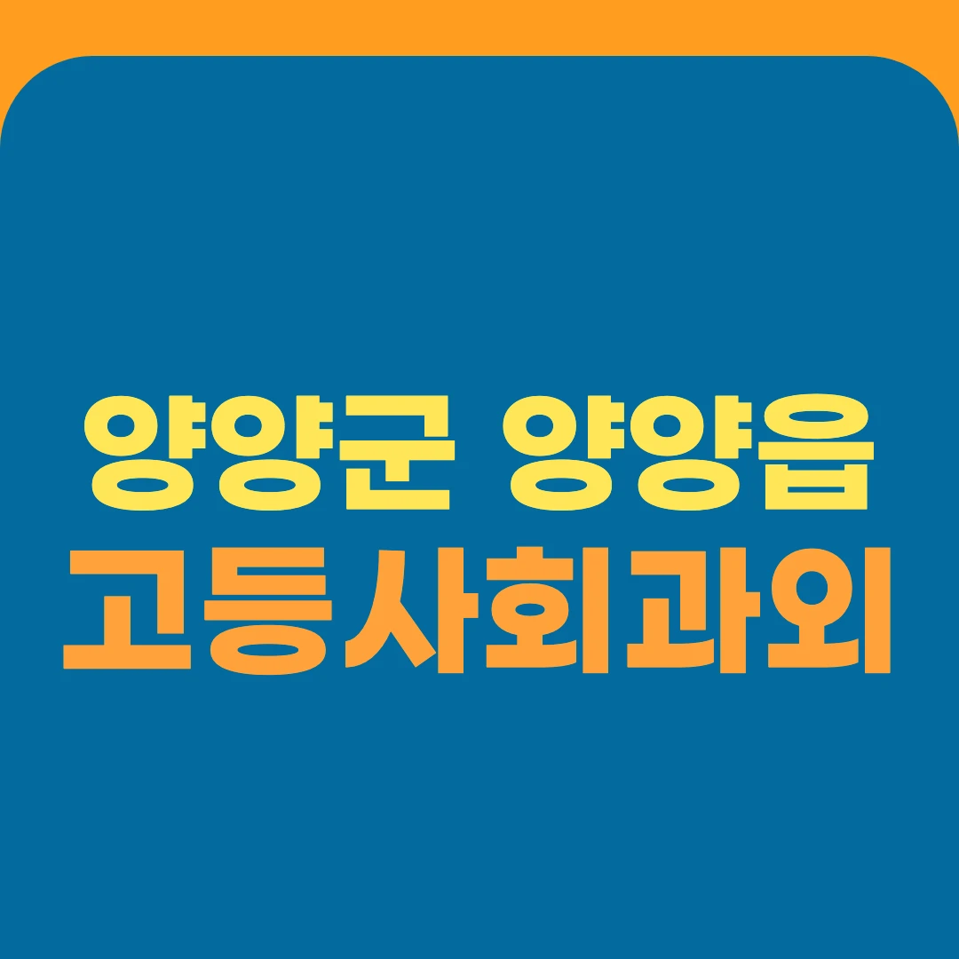 양양군 양양읍 고등사회과외