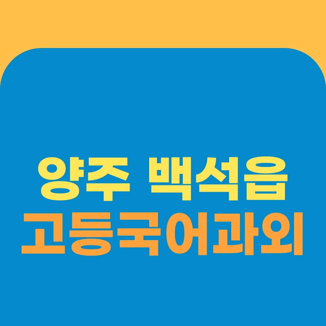 양주 백석읍 고등국어과외