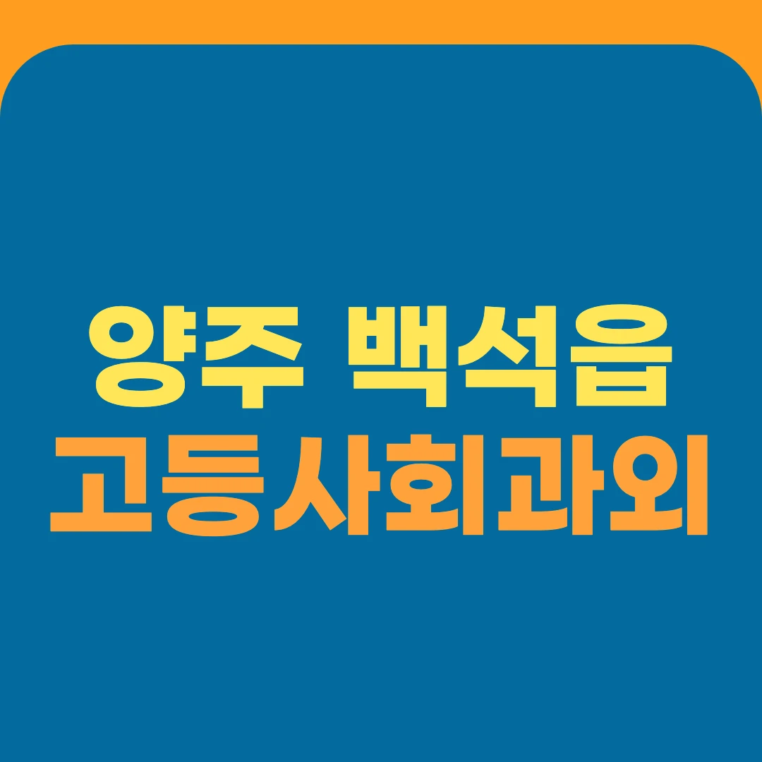 양주 백석읍 고등사회과외