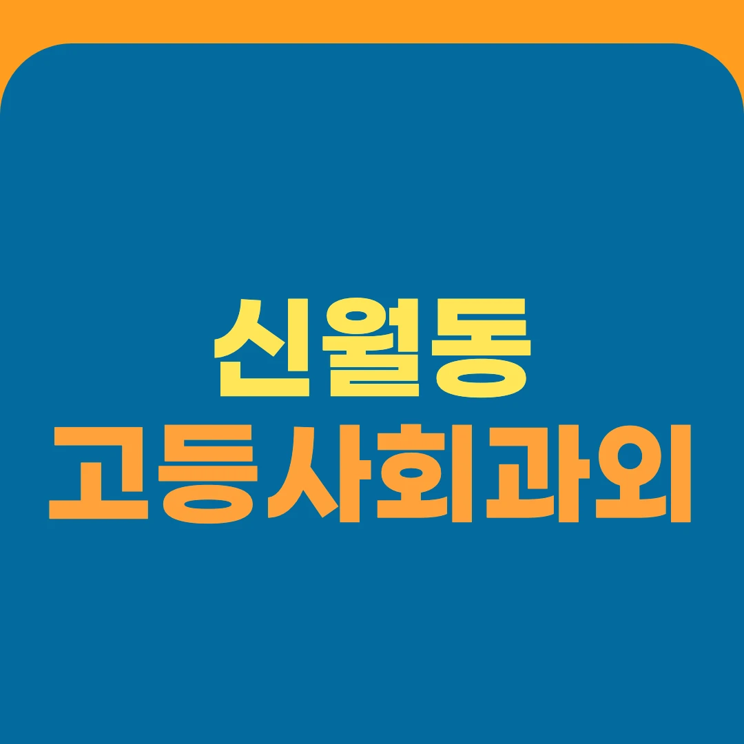 신월동 고등사회과외