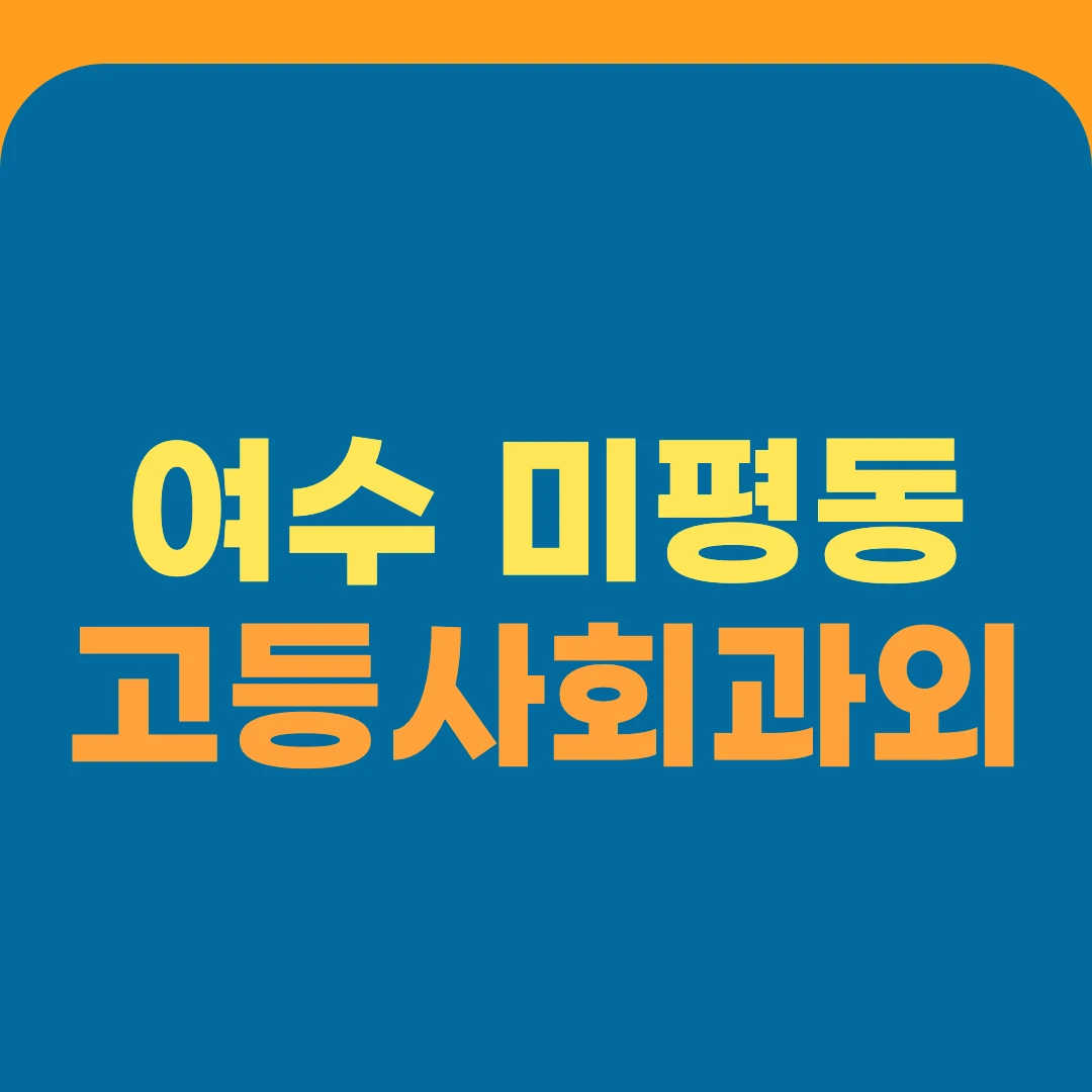 여수 미평동 고등사회과외